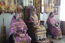 IMG_5594_новый размер.JPG
