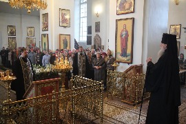 IMG_1152_новый размер.JPG
