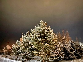 IMG_2239_новый размер.jpg