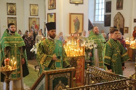 IMG_1003_новый размер.JPG