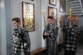 IMG_7167.JPG