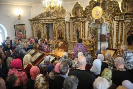 IMG_9911.JPG