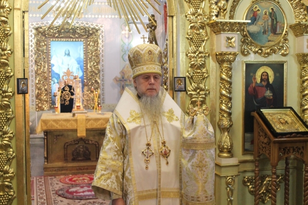 РОЖДЕСТВЕНСКОЕ ПОСЛАНИЕ епископа Котласского и Вельского Василия