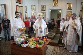 IMG_8000.JPG