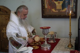 IMG_7950.JPG
