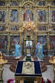 IMG_1534_новый размер.JPG