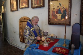 IMG_8803_новый размер.JPG