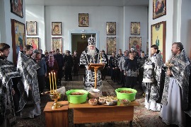 IMG_9703_новый размер.JPG