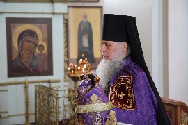 IMG_0092_новый размер.JPG