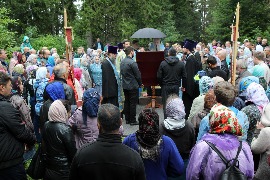 IMG_7565_новый размер.JPG