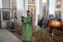 IMG_4155_новый размер.JPG