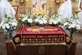 IMG_1235_новый размер.JPG