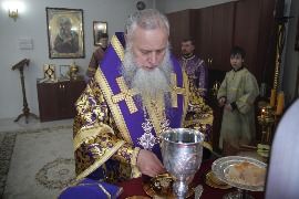 IMG_9858.JPG