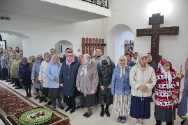 IMG_0217_новый размер.JPG